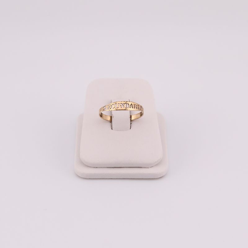 Anillo Secundaria  10k 1g #8