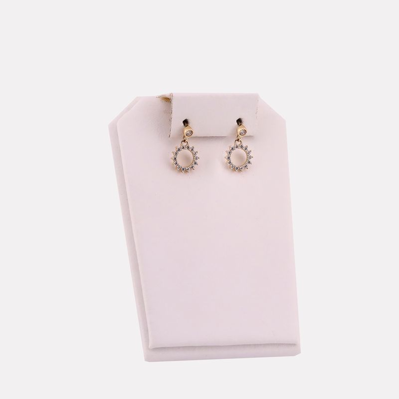 Aretes Circ. C/p 14k 2g