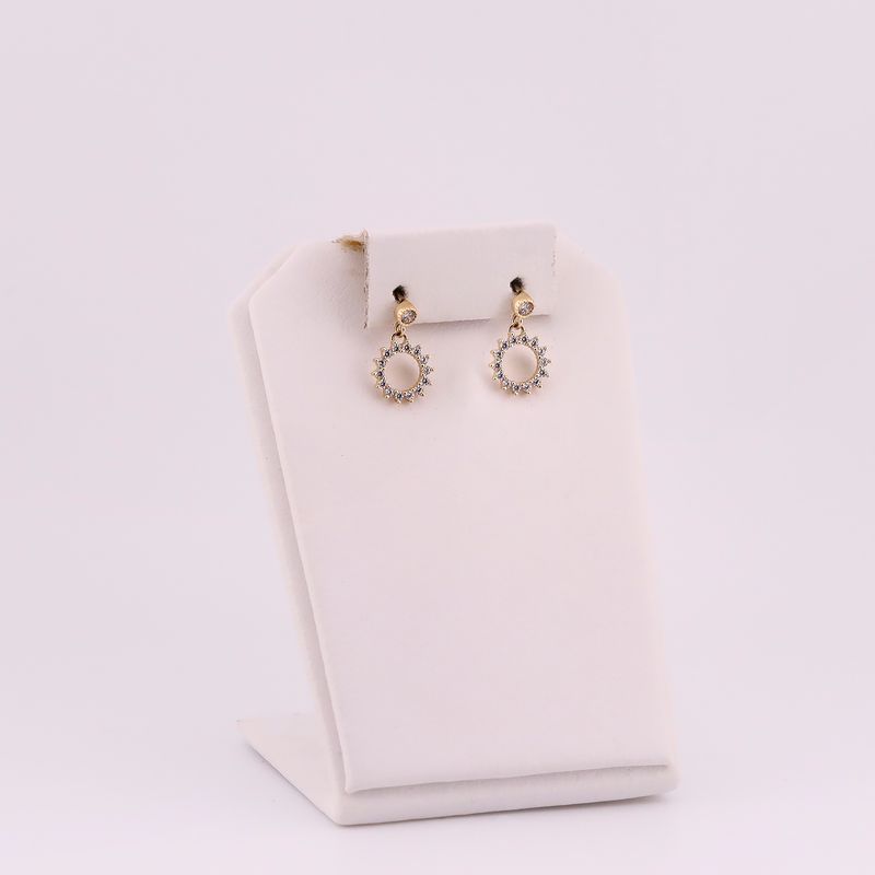 Aretes Circ. C/p 14k 2g