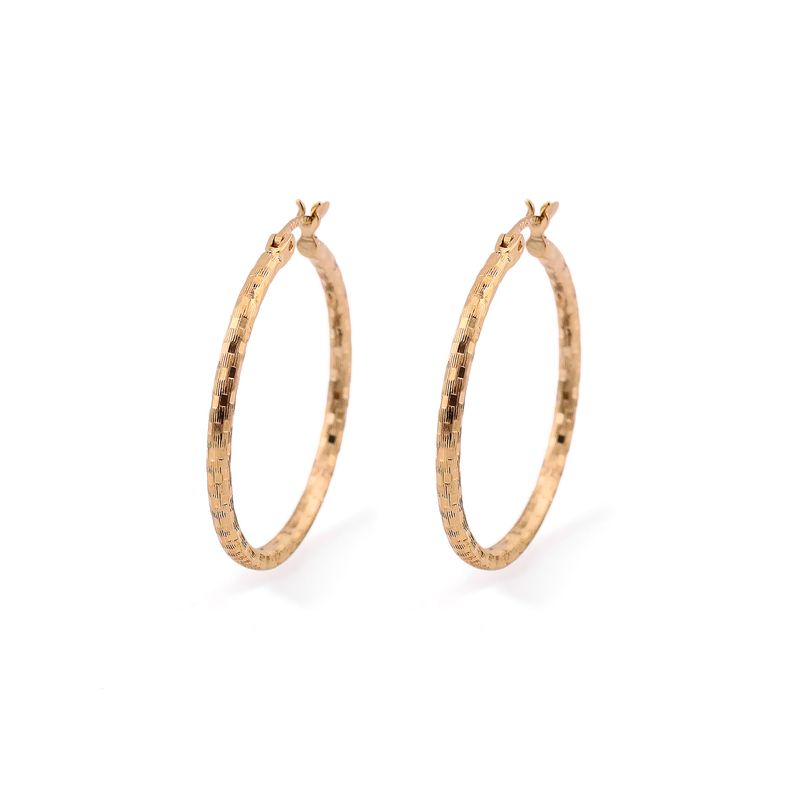 Arracadas Relim. 14k 3.1g