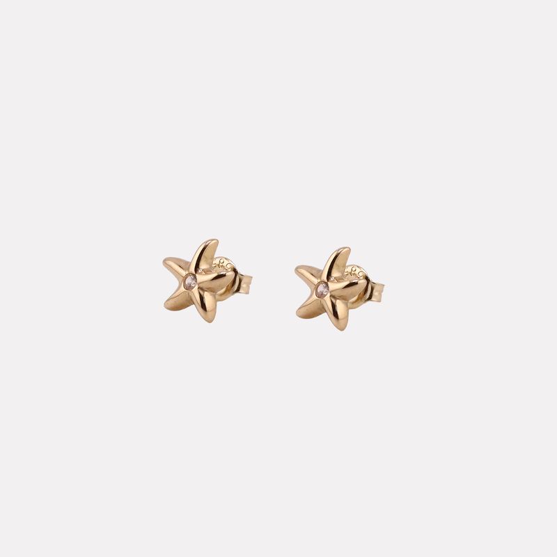 Aretes Estrella C/p 14k 1.6g