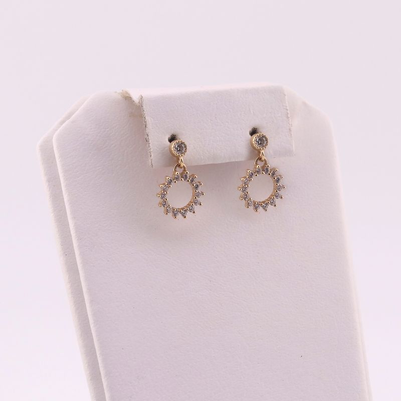 Aretes Circ. C/p 14k 2g