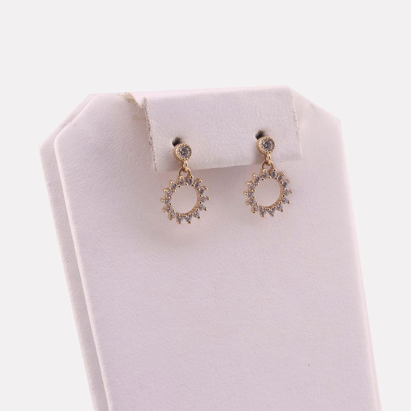 Aretes Circ. C/p 14k 2g