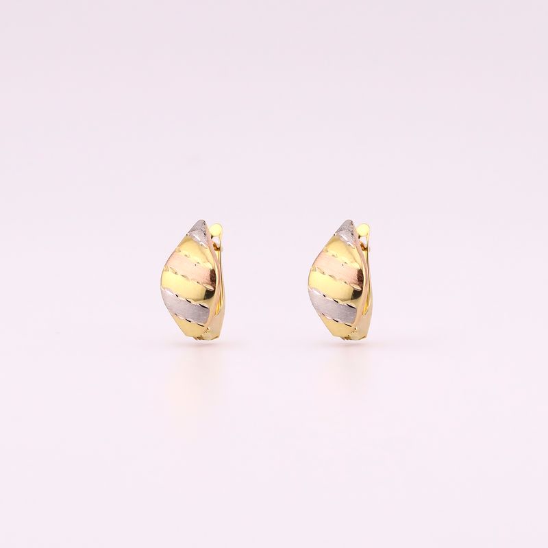 Aretes Relim. Tns 14k 1.9g