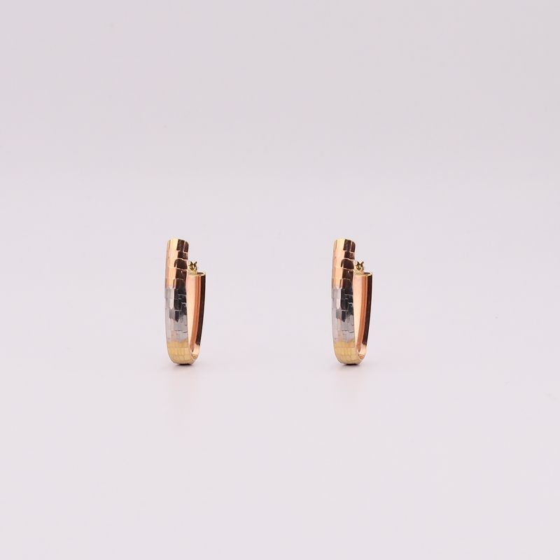 Aretes Fac. Tns 14k 2.7g