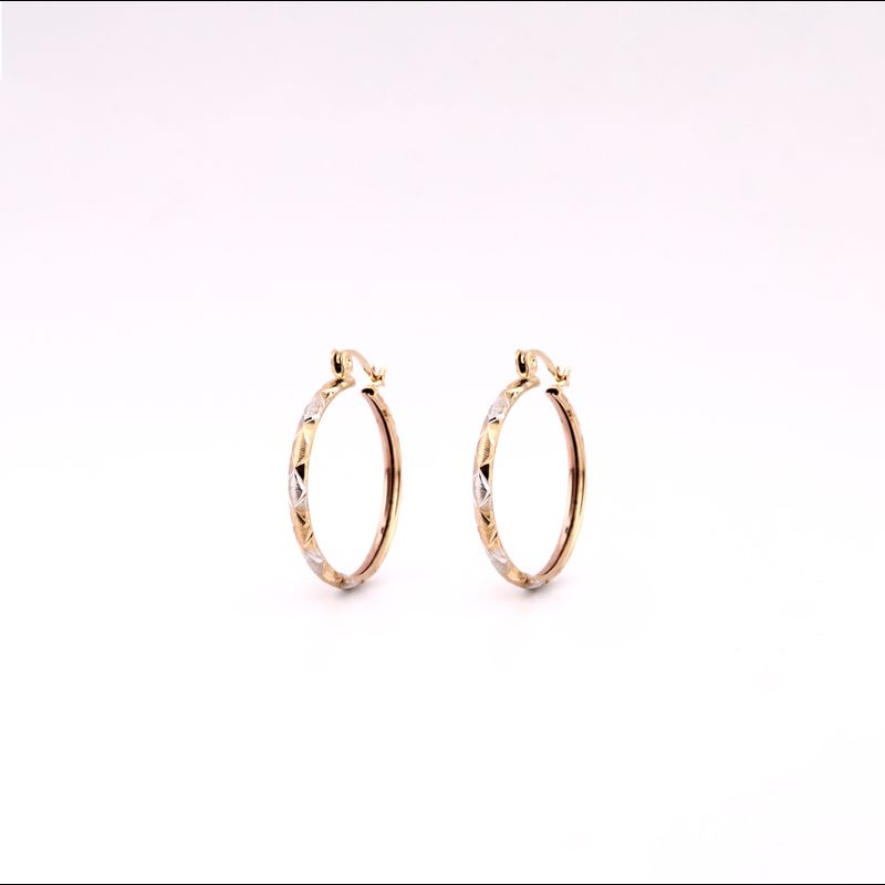 Arracadas Relim. Tns. 10k 2.6g