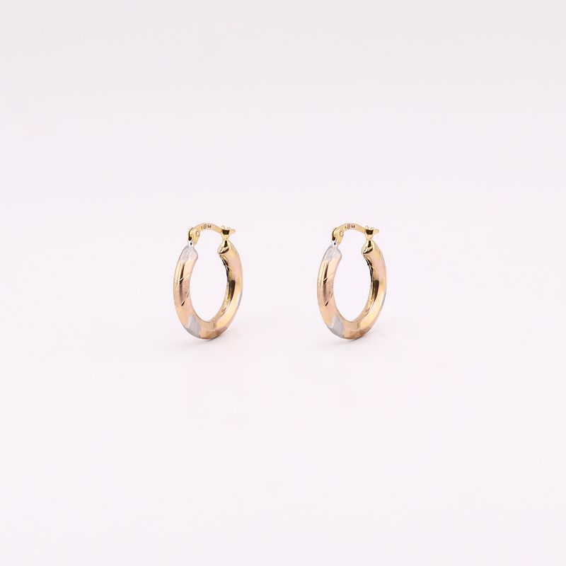 Arracadas Relim. Tns. 14k 2g