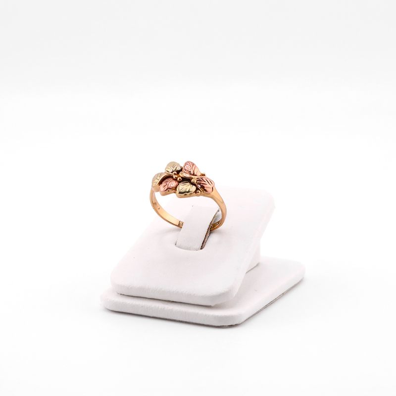 Anillo Hojas Tns. 10k 3.2g #9