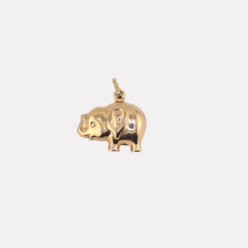 Dije Elefante 14k 2.1g