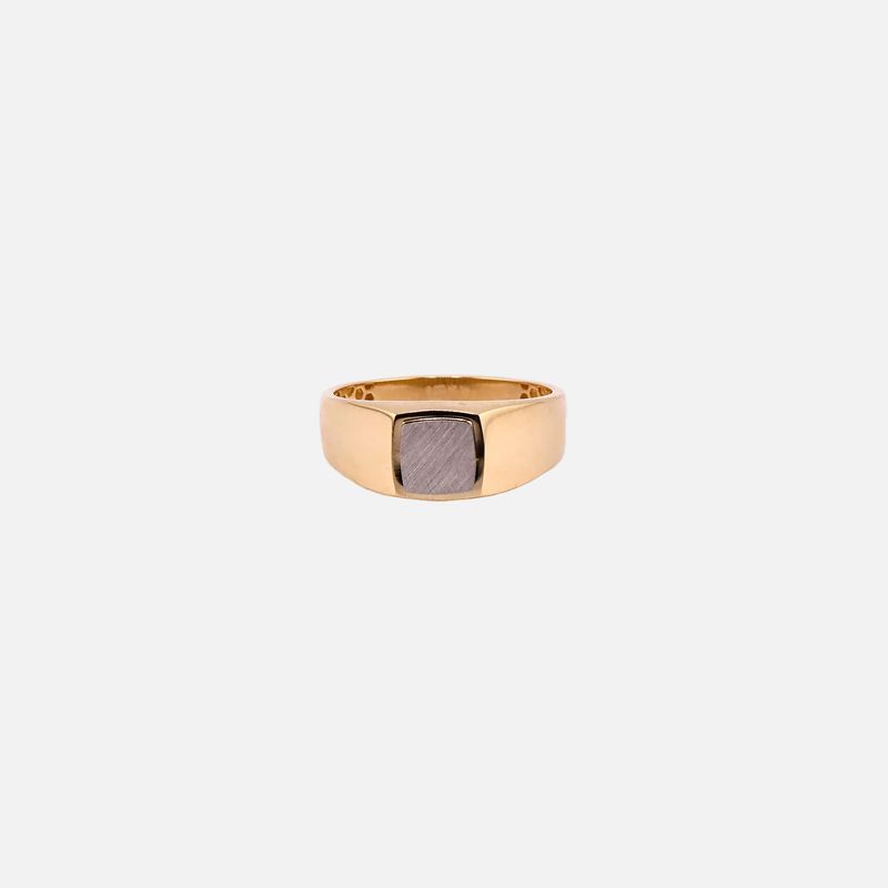Anillo Tipo Sello 14K 2.7g #10