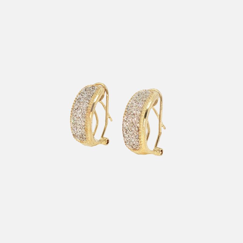 Aretes C/p Bcas 14K 3.8g